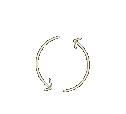 Multiple Paths